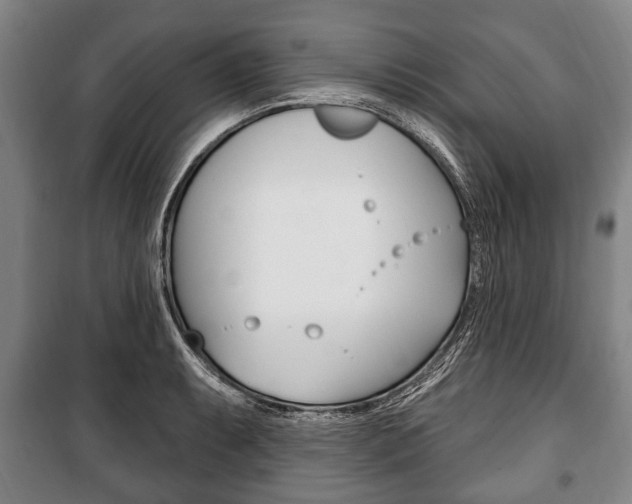 X0000101201087200806270824