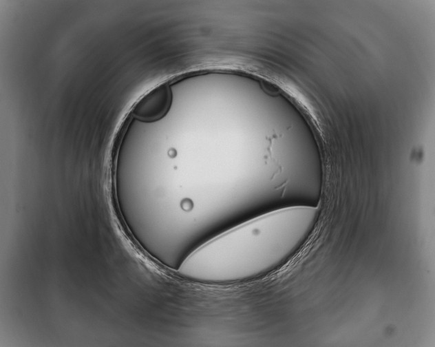 X0000101201088200806270824