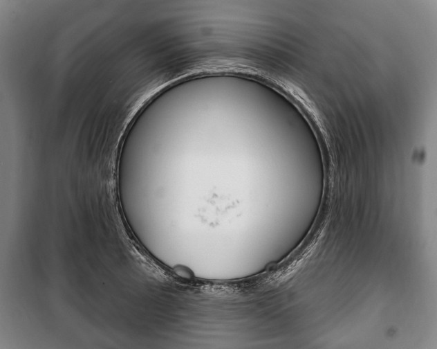 X0000101201089200806270824