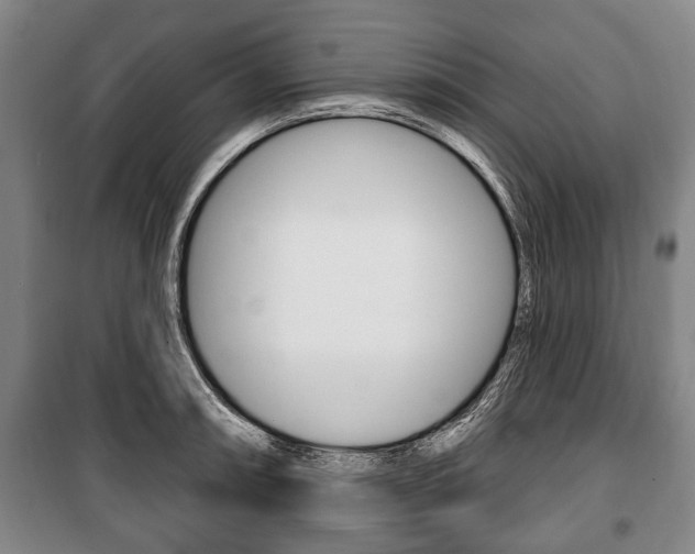 X0000101201090200806270824