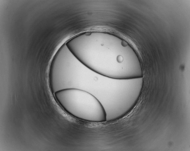 X0000101201091200806270824