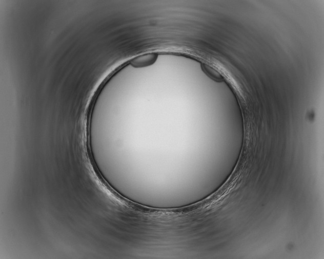 X0000101201092200806270824
