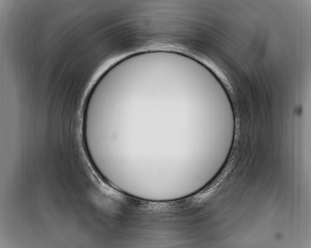 X0000101201094200806270824