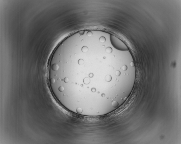 X0000101201095200806270824