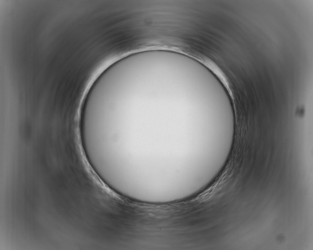 X0000101201096200806270824