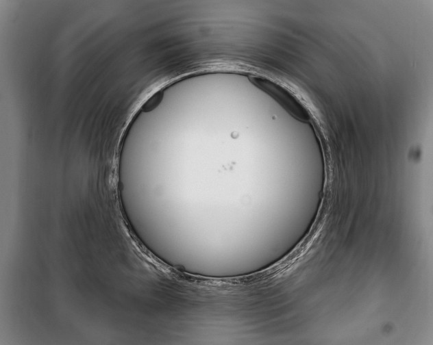 X0000101201097200806270823