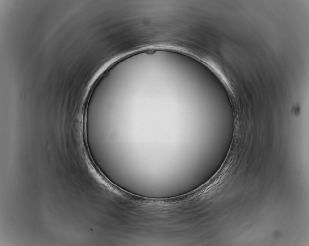 X0000101201100200806270823