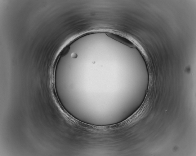 X0000101201101200806270823