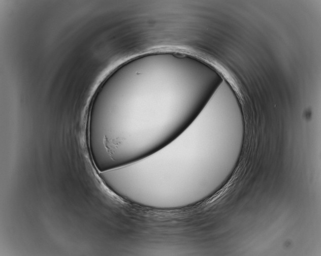 X0000101201102200806270823