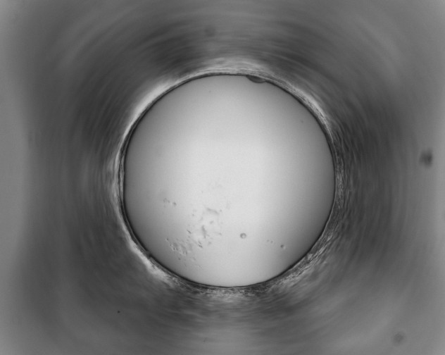 X0000101201103200806270823