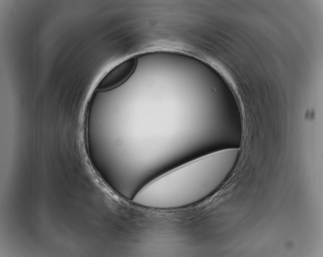 X0000101201104200806270823