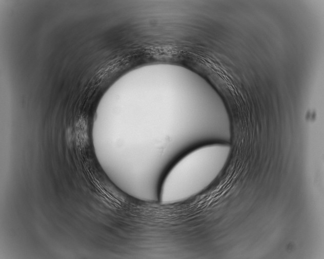 X0000101201106200806270823
