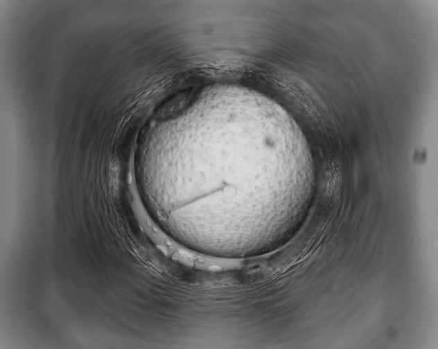 X0000101201108200806270823