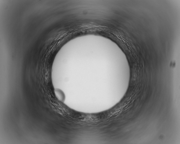 X0000101201109200806270823