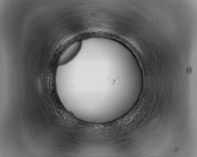 X0000101201111200806270823