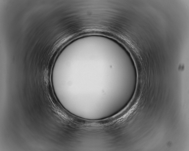 X0000101201113200806270823