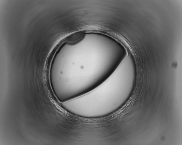 X0000101201116200806270823