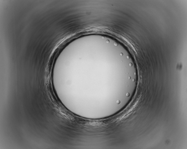 X0000101201117200806270823