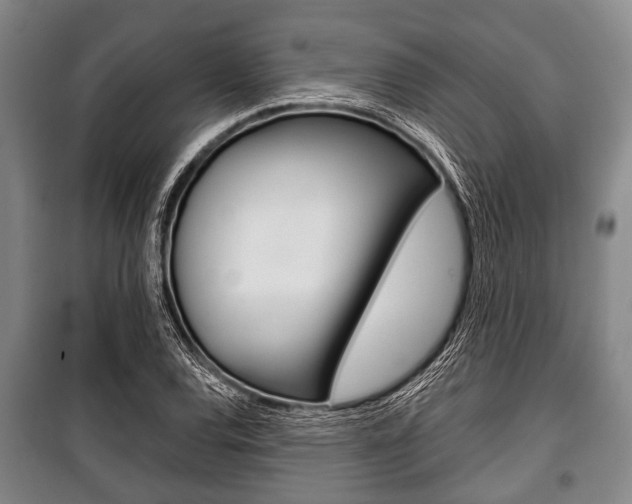 X0000101201120200806270823