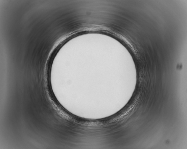 X0000101201122200806270823