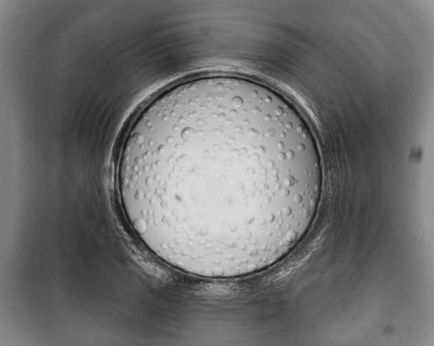X0000101201125200806270823