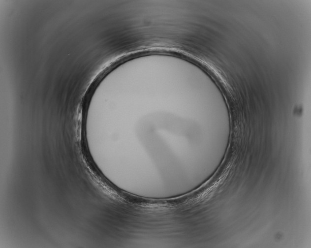 X0000101201126200806270823