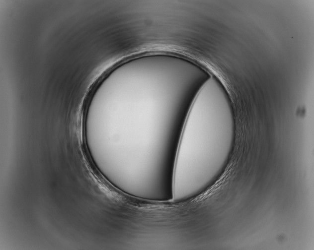 X0000101201127200806270823