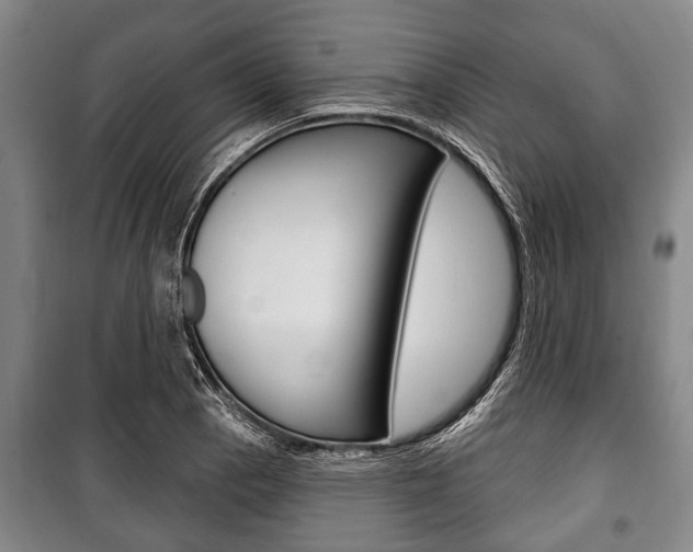 X0000101201129200806270823