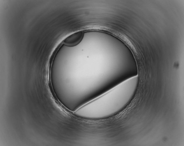 X0000101201132200806270823