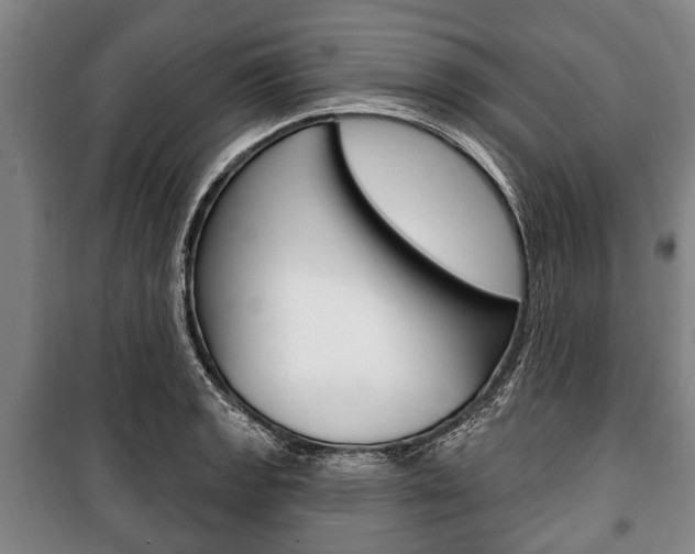 X0000101201133200806270823