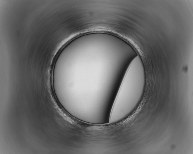 X0000101201134200806270823
