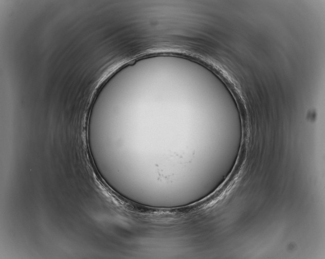 X0000101201137200806270823