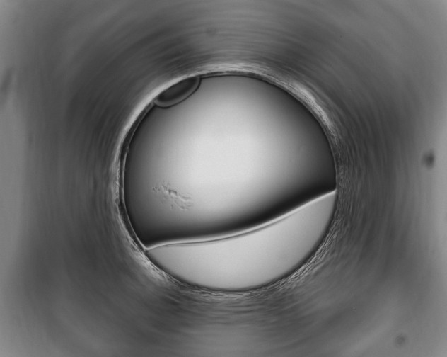 X0000101201140200806270823