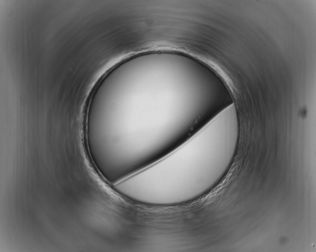 X0000101201142200806270823