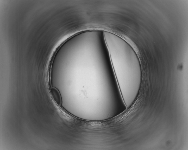 X0000101201144200806270823