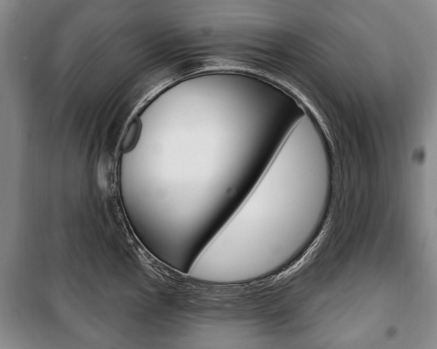 X0000101201145200806270823