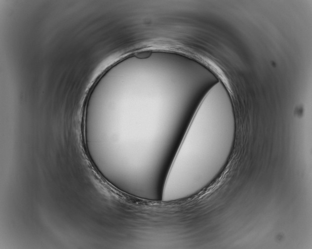 X0000101201146200806270823