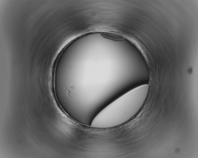 X0000101201147200806270823