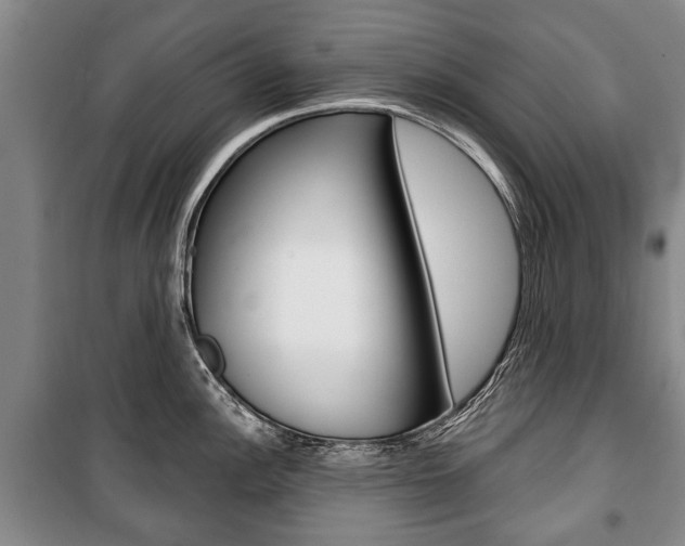 X0000101201148200806270823