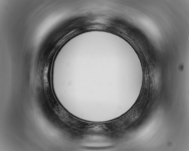 X0000101201150200806270823