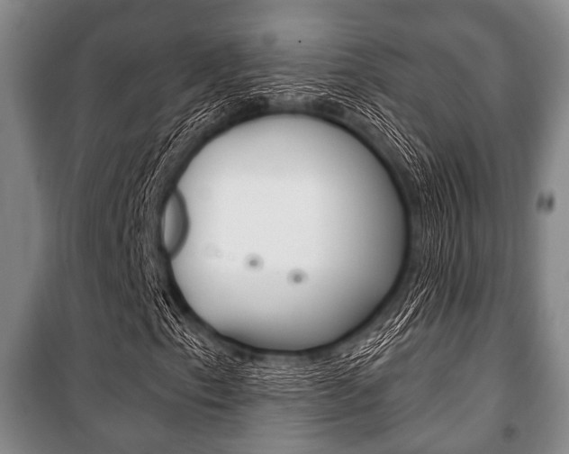 X0000101201153200806270823