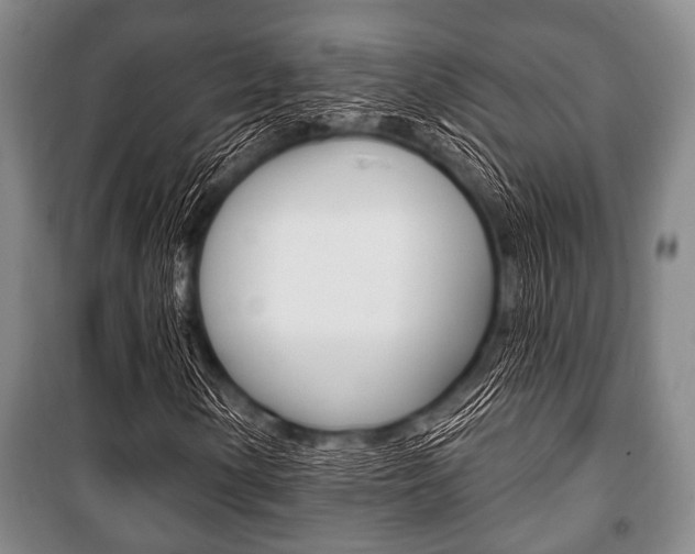 X0000101201154200806270823