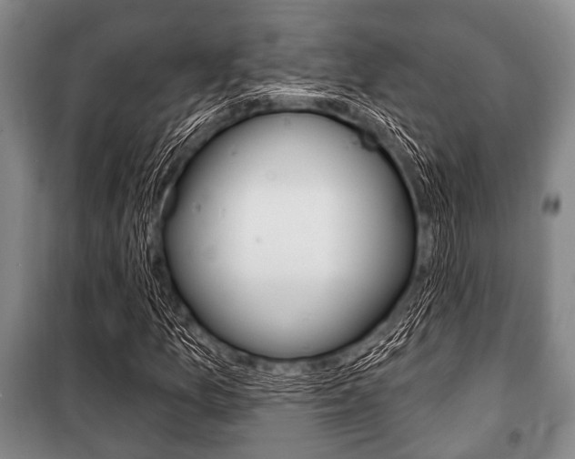 X0000101201157200806270823