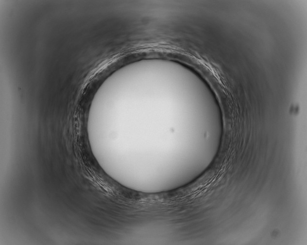 X0000101201159200806270822