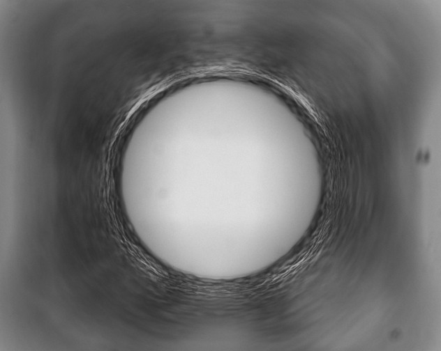 X0000101201160200806270822