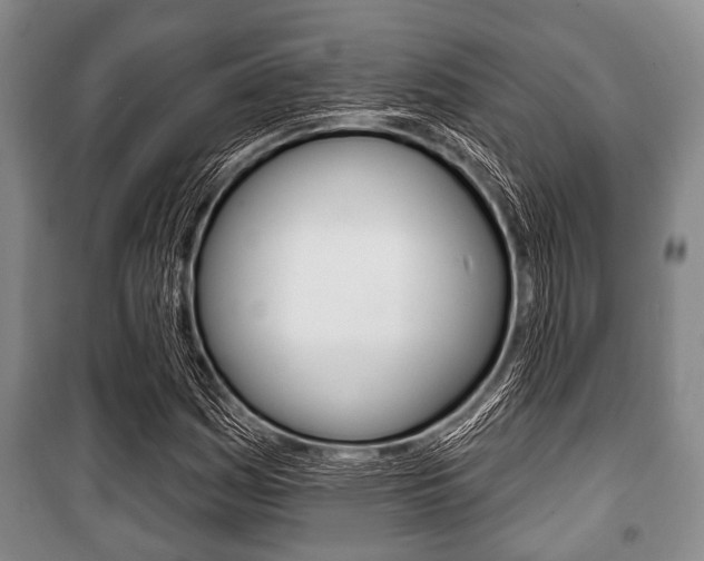 X0000101201161200806270822