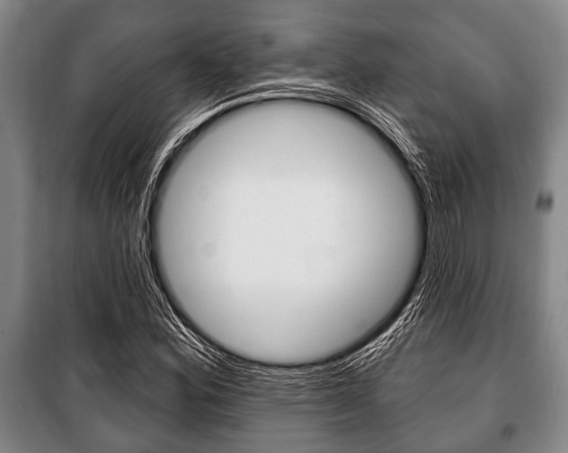 X0000101201164200806270822
