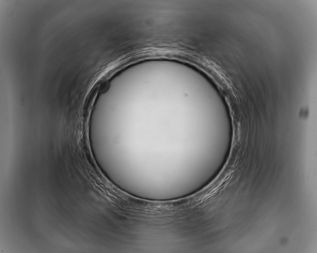 X0000101201165200806270822