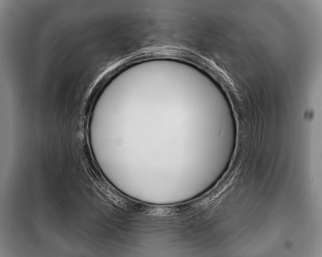 X0000101201166200806270822