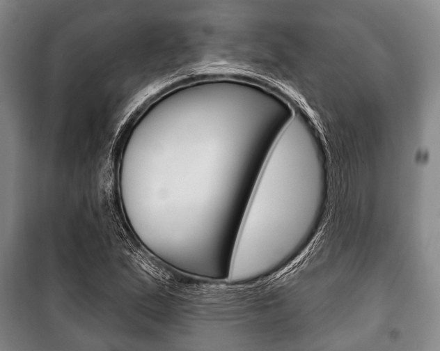 X0000101201167200806270822